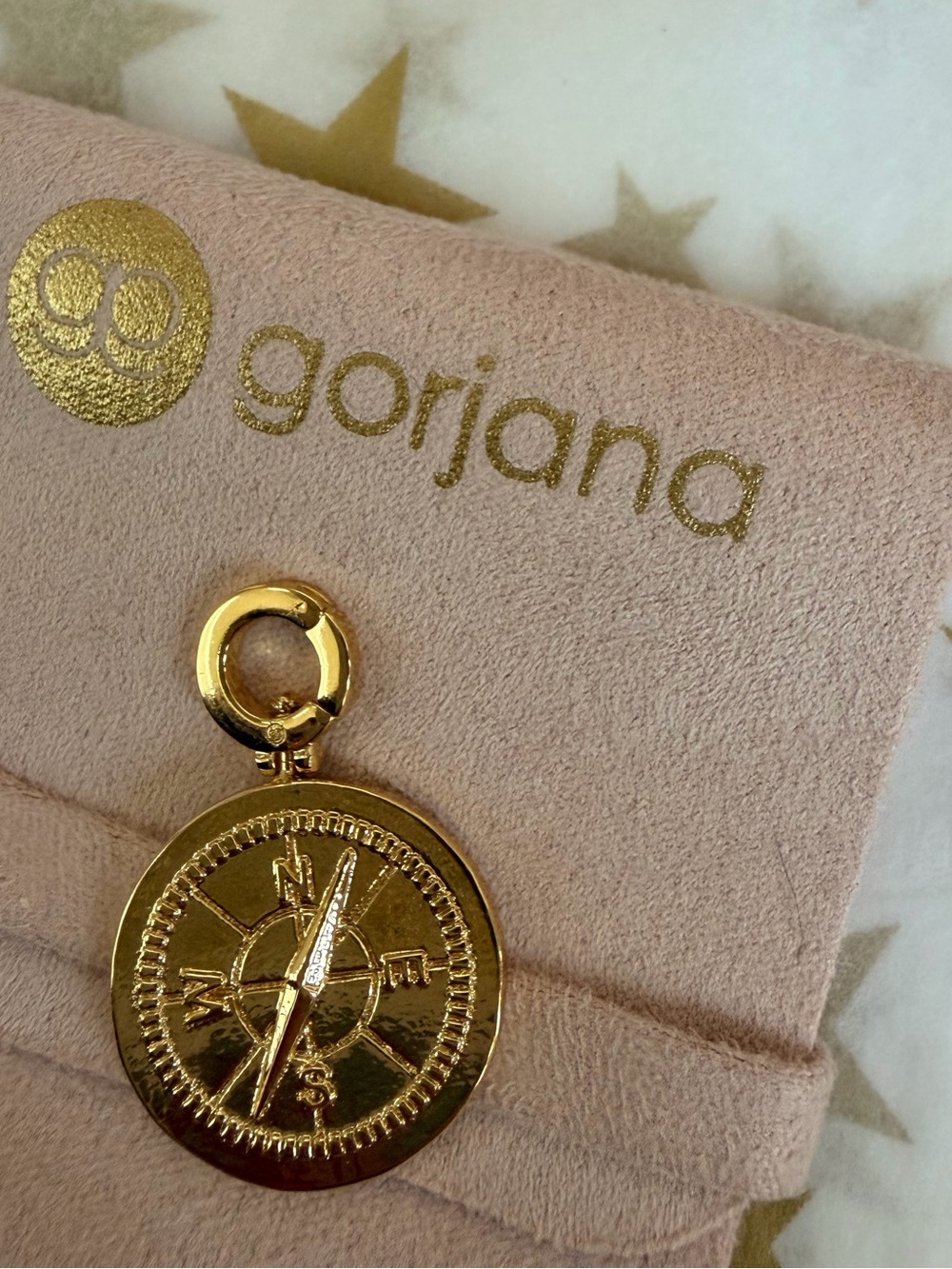Gorjana Gold Compass Charm Mini Bag Accent